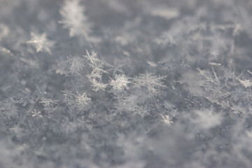 snowflakes of different sizes as background