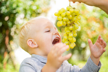 Boy eating grapes outdoor. Healthy natural food. Happy moments of life and childhood.
