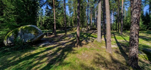 Wigglestone area Amaliendorf Lower Austria