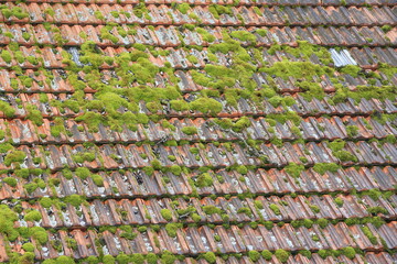 Dachdecker Dachsanierung Hausdach Dachziegel Blechdach Handwerk Handwerker