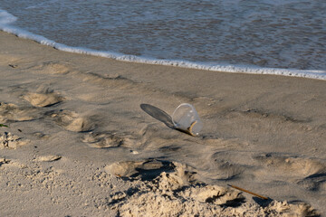 plastic cup used on the beach washed by the waves