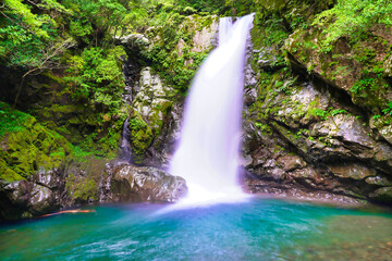 徳島の轟九十九滝の一つ