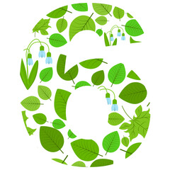Vector number 6 of spring fresh green leaves and flowers. Illustration on the theme of numbers and counting.