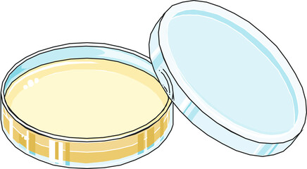 Petri dish filled with nutrient agar medium with half-covered lid used in microbiology for bacterial culture purposes