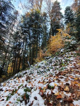 At the border between autumm and winter