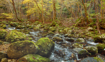 兵庫県・赤西渓谷の風景