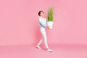 Photo portrait full body side profile view of girl with plant in pot walking isolated on pastel...