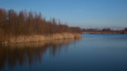 Fototapeta na wymiar Nature development in Biesbosch National Park, North Brabant, Netherlands