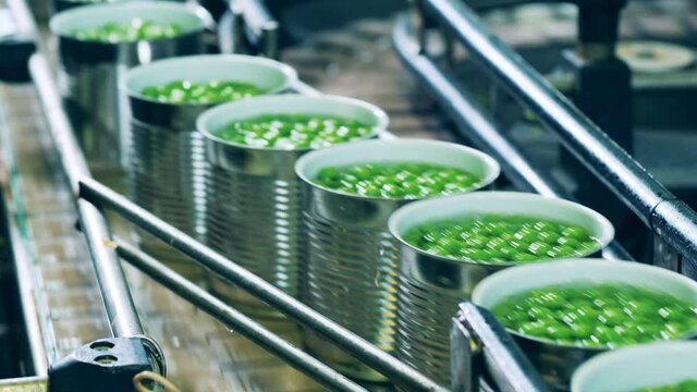 Metal conveyor is transporting tin cans filled with peas
