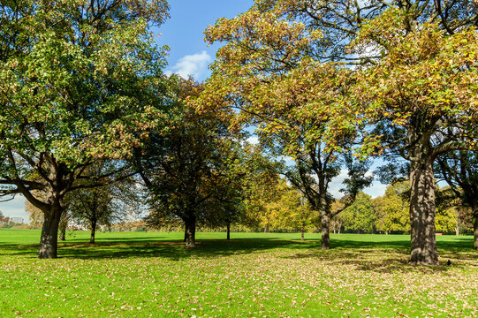 Hyde Park during the autumn fall in London England UK which is a public open space and a popular tourist travel destination attraction landmark, stock photo image