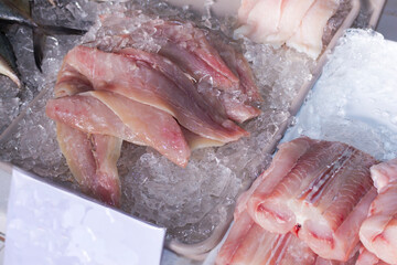 Guaivira fish fillet preserved on ice next to fresh shark steak.