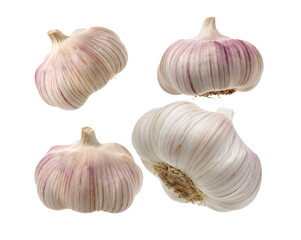 garlic isolated on white