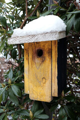 Ein Nistkasten wartet auf einen Brutvogel