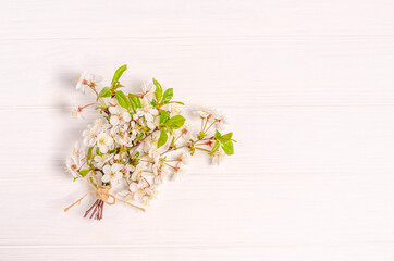 A bouquet of blossoming cherry on a white background with a place for your text.