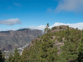 Fototapeta na wymiar View from Roque Nublo plateau in inland central mountains from famoust Gran Canaria hiking trail. Green pine trees and blue sky background. Canary Islands, Spain.