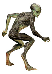 3D Rendering Green Alien on White