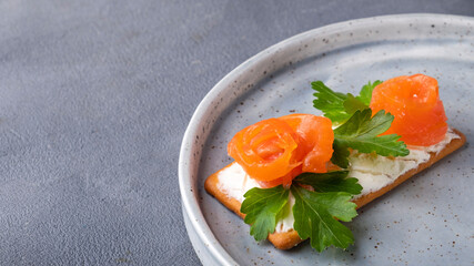 Crispy crackers with salmon and curd cheese on a plate. Space for text