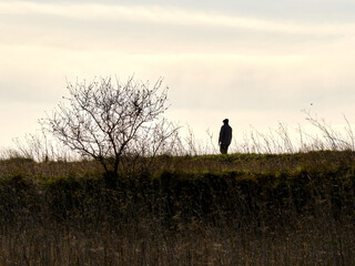 Silhouette of a man walking up a hill in winter. Cloudy day