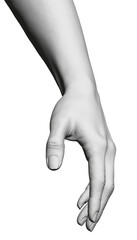 Model of a white female detailed hand. Polygonal hand of a girl. 3D. Vector illustration