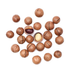 Shelled and unshelled macadamia nuts on white background