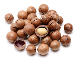 Shelled and unshelled macadamia nuts on white background