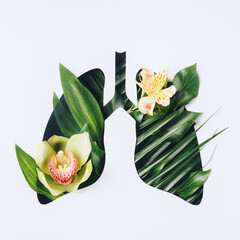 Human lungs shape with tropical palm leaves and orchid flower on bright background. Creative coronavirus or pandemic concept. Spring, green, world health or environment day and ecology concept.