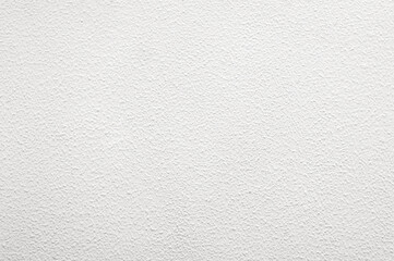 White wall background with uniform equable texture, neutral shade.