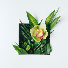 Creative minimal arrangement with green palm leaves and orchid flower on bright white background. Creative nature or spring bloom concept. Flat lay, top view.