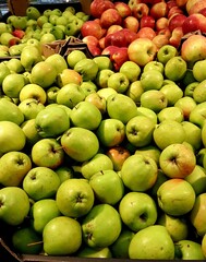 Lots of red and green apples in a supermarket showcase close up
