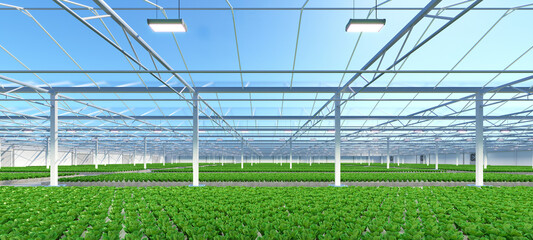 Big industrial greenhouse interior. Hydroponic indoor vegetable plant factory. Green salad farm. Concrete floor. 3D render