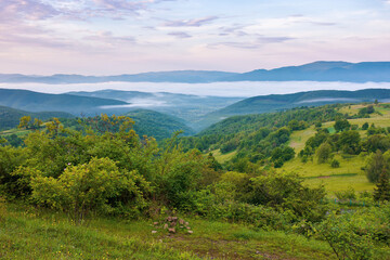 Obraz premium mountainous countryside scenery at dawn. distant valley full of fog in summer. plants and trees on the hill. beautiful landscape with clouds on the sky