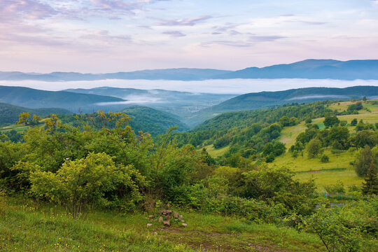 mountainous countryside scenery at dawn. distant valley full of fog in summer. plants and trees on the hill. beautiful landscape with clouds on the sky