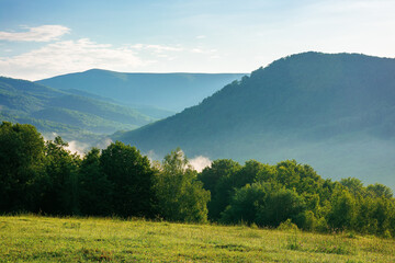 mountain meadow in morning light. countryside springtime landscape with valley in fog behind the forest on the grassy hill. fluffy clouds on a bright blue sky. nature freshness concept