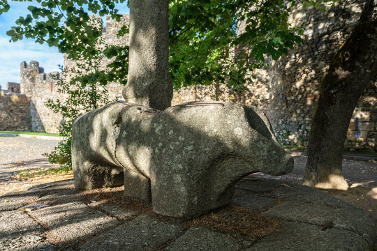 Bragança, Trás-os-Montes, Portugal.  This pre-roman sculpture represents a wild pig and is located inside Bragança citadel. It is known as "porca da vila" in Portuguese