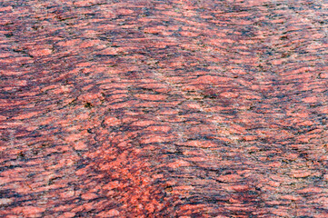 Sea stone texture. Panel texture. Background fill. Natural stone background.