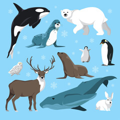 Vector illustration of winter animals (deer, owl, killer whale, penguins, polar bear, seal, sea lion, rabbit) on a blue background.