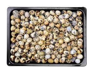 quail eggs background