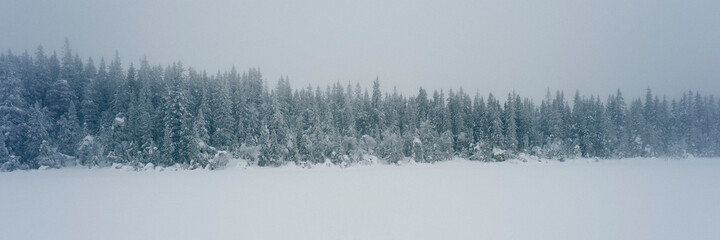Snow covered spruce trees by a lake at Tjuvåsen Hill, part of the Totenåsen Hills, Norway, in winter.