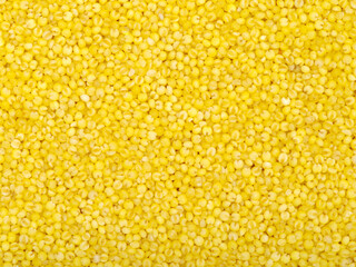 Millet background