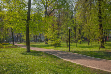 Fototapeta na wymiar Bright and sunny spring day in city park