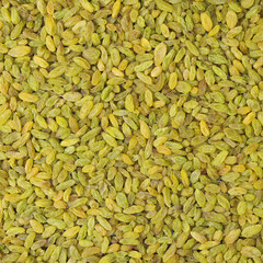 dried raisin background