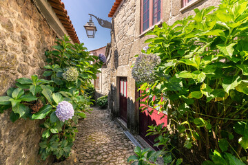 Picturesque street decorated with lush green plants. Building facades and street made with stones. Trancoso, Portugal. 