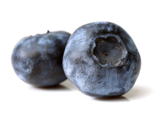 blueberries isolated on white