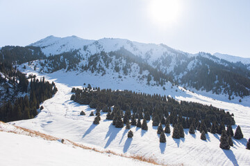 Fototapeta na wymiar View of Almaty mountains in winter (panorama)