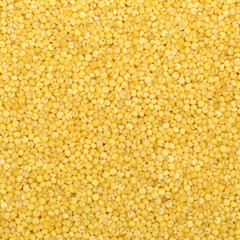 Millet background