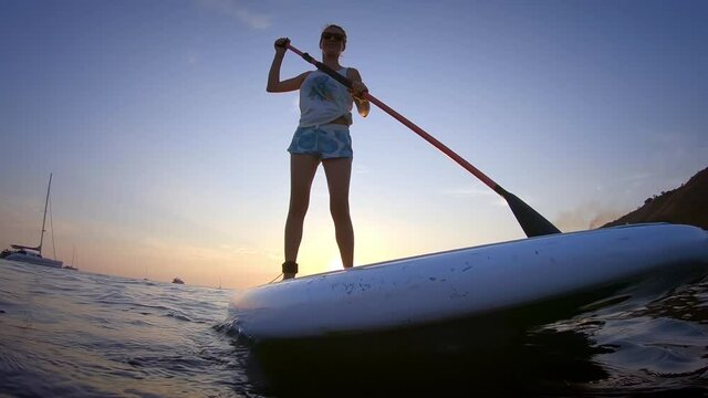 Sup surfer. Young woman surf SUP board in the tropical sea at sunset