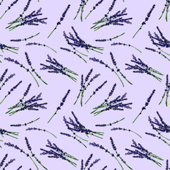 Lavender twigs hand drawn watercolor seamless pattern on purple background