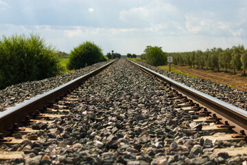 Fototapeta premium Railway tracks in a rural scene in a sunny day.