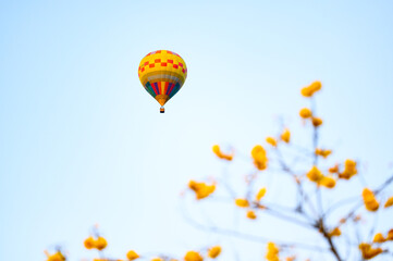 hot air balloon in sky