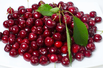 a full plate of juicy and ripe cherries with green leaves. view from above